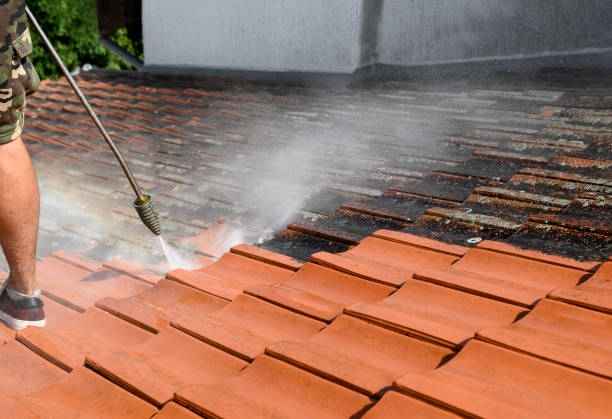 Best Roof Pressure Washing  in Algona, WA